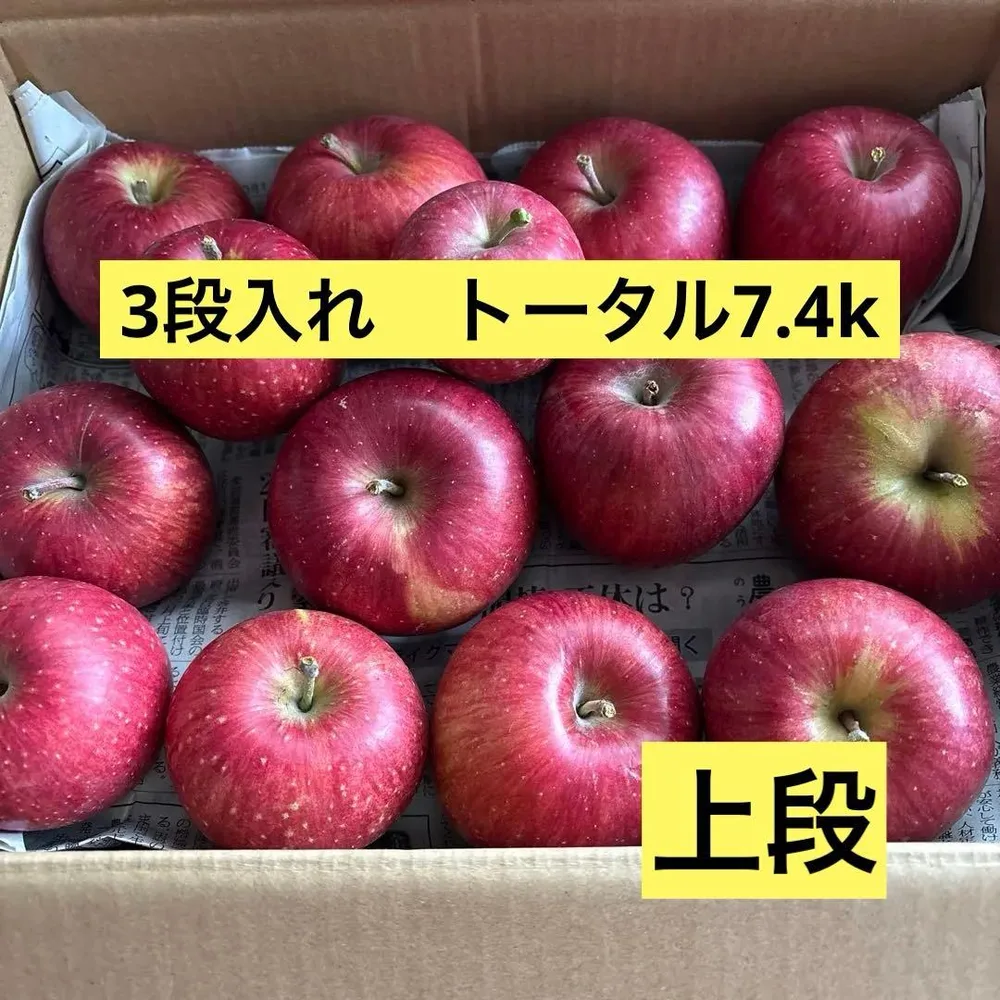 りんご 訳あり 3段入れ 限定1箱 ①