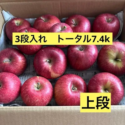 りんご 訳あり 3段入れ 限定1箱 ①