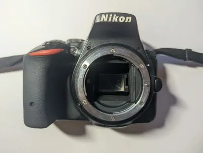 Nikon D5500 本体のみ【動作確認済】
