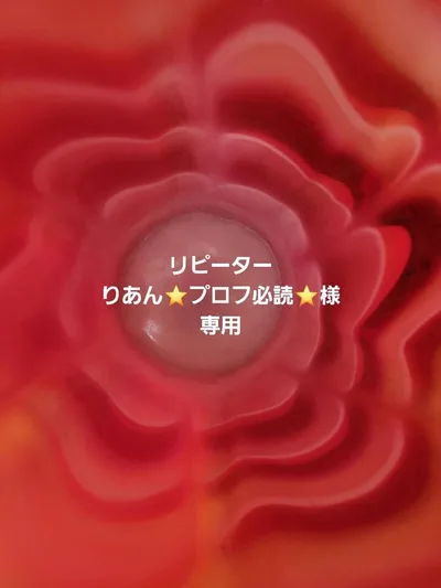 りあん⭐プロフ必読⭐様専用