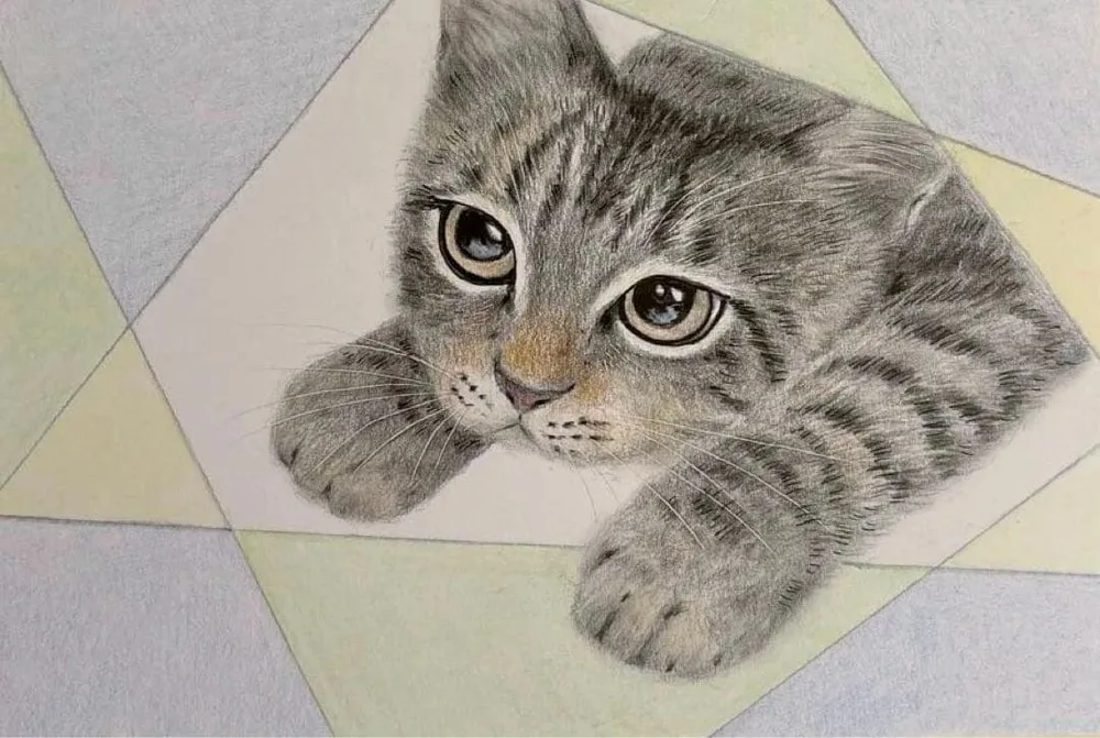 色鉛筆画 猫 キジトラ 原画
