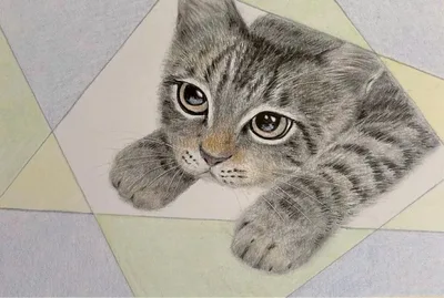 色鉛筆画 猫 キジトラ 原画