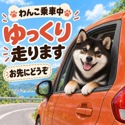 耐水ステッカー ゆっくり走ります 黒柴 わんこ乗車中 犬 車 かわいい