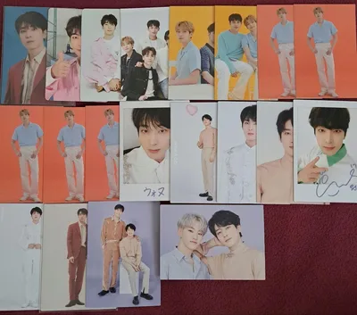 SEVENTEEN ウォヌ トレカ 20枚セット