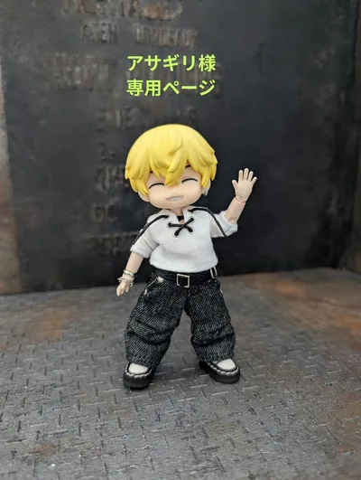 アサギリ様専用 オビツ11、ねんどろいどどーる服