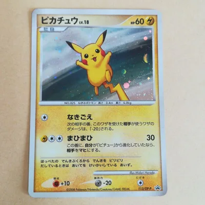 ピカチュウ 113/dp-p ポケモンカード ポケカ プロモ 日本語版 レトロ