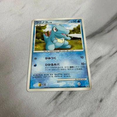 ワニノコ ポケモンカード