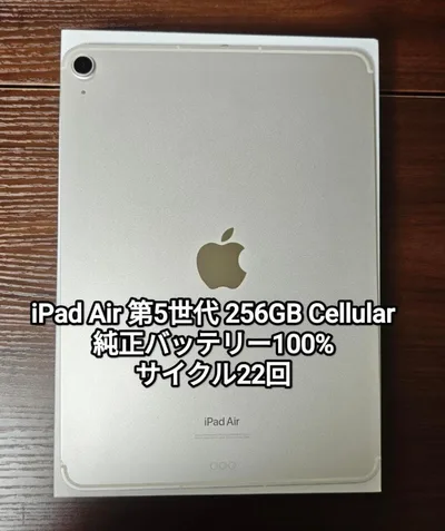 iPad Air 第5世代 256GB Cellular バッテリー100%
