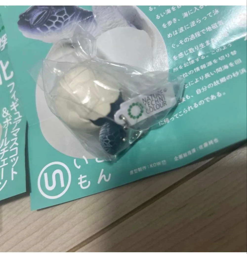 ネイチャーテクニカラー 孵化 アオウミガメ