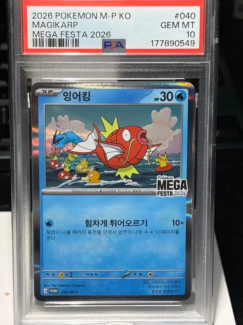 PSA10 韓国限定 コイキング MEGA FESTA 2026 ②