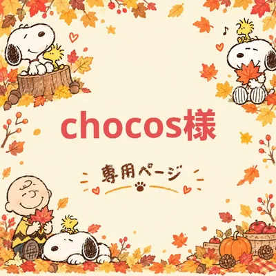 chocos様専用ページ♡