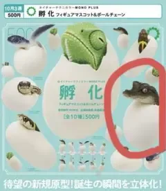 ネイチャーテクニカラー 孵化 フィギュアマスコット イリエワニ