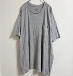 フルーツオブザルーム 無地 Tシャツ クルーネック 半袖 ポケット 灰 2XL