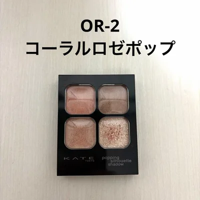 ケイト ポッピングシルエットシャドウ OR-2