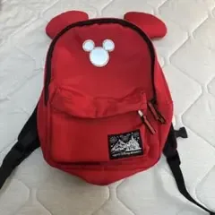 最後の底値SALE価格☆Tokyo Disney Resort キッズ リュック