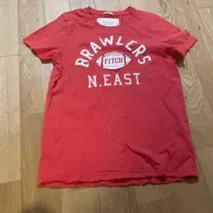 Abercrombie & Fitch ロゴ刺繍 Tシャツ レッド S