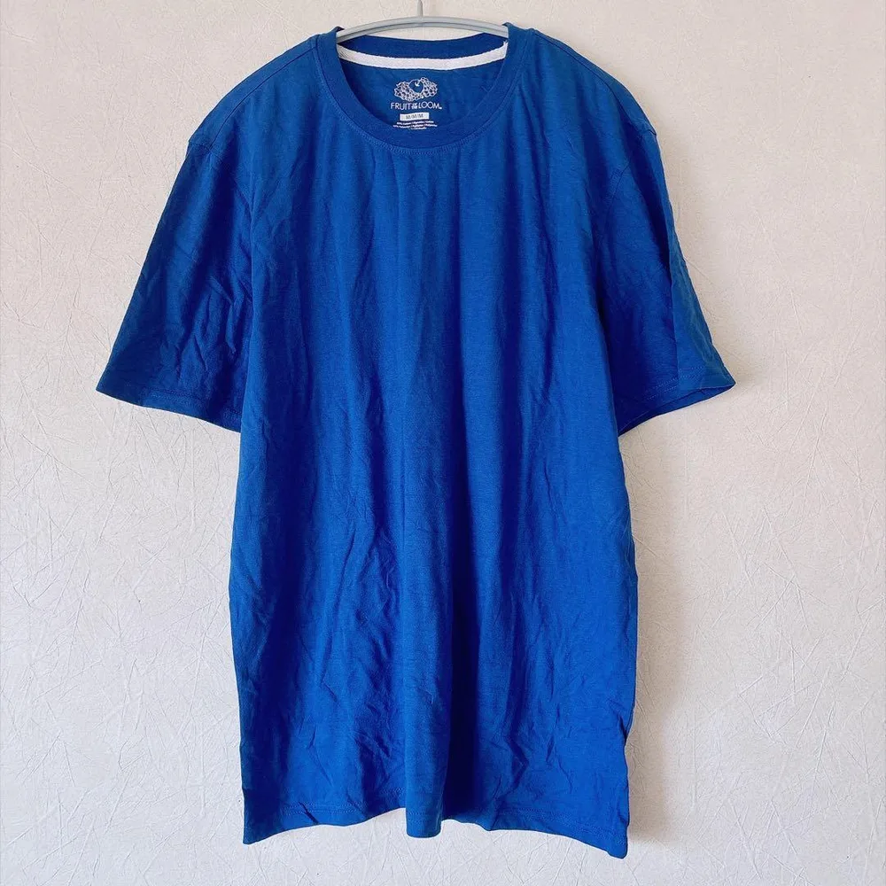フルーツオブザルーム 無地 Tシャツ クルーネック 半袖 LL〜3L 青 綿