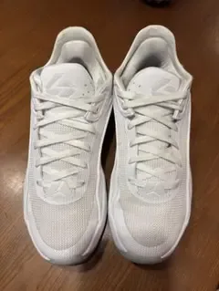 Jordan Luka ジョーダン ルカ5バッシュ 26.5cm
