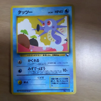 タッツー ポケモンカード