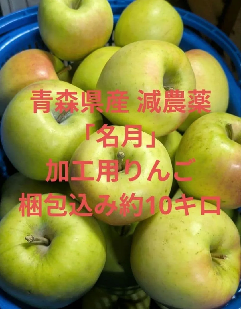 青森県産 減農薬 加工用りんご「名月」梱包込み約10キロ 10月31日まで