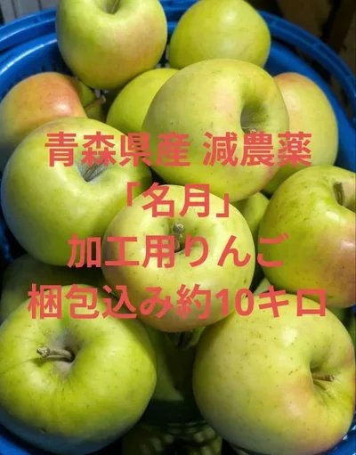 青森県産 減農薬 加工用りんご「名月」梱包込み約10キロ 10月31日まで