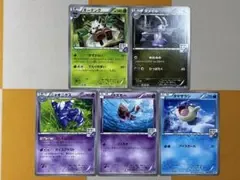 ポケモンカードジム 5種 XY-P プロモ