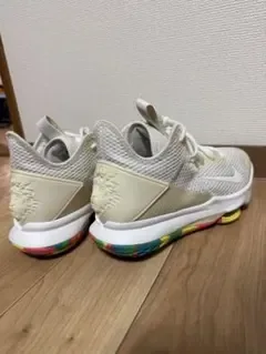NIKE LEBRON WITNESS 4 EP 25.5cm レブロン