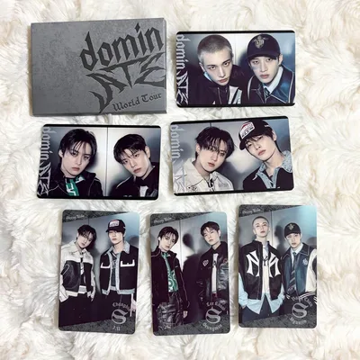 StrayKids スキズ アプグレ dominATE フォトカード トレカ