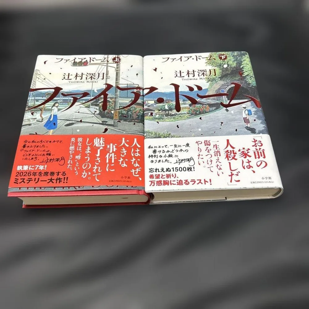 ファイア・ドーム 上 下 2冊セット