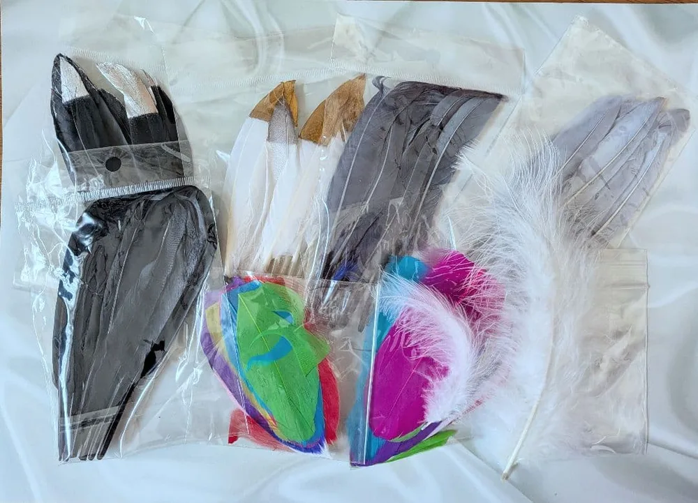 大量!リアルフェザー 鳥の羽根