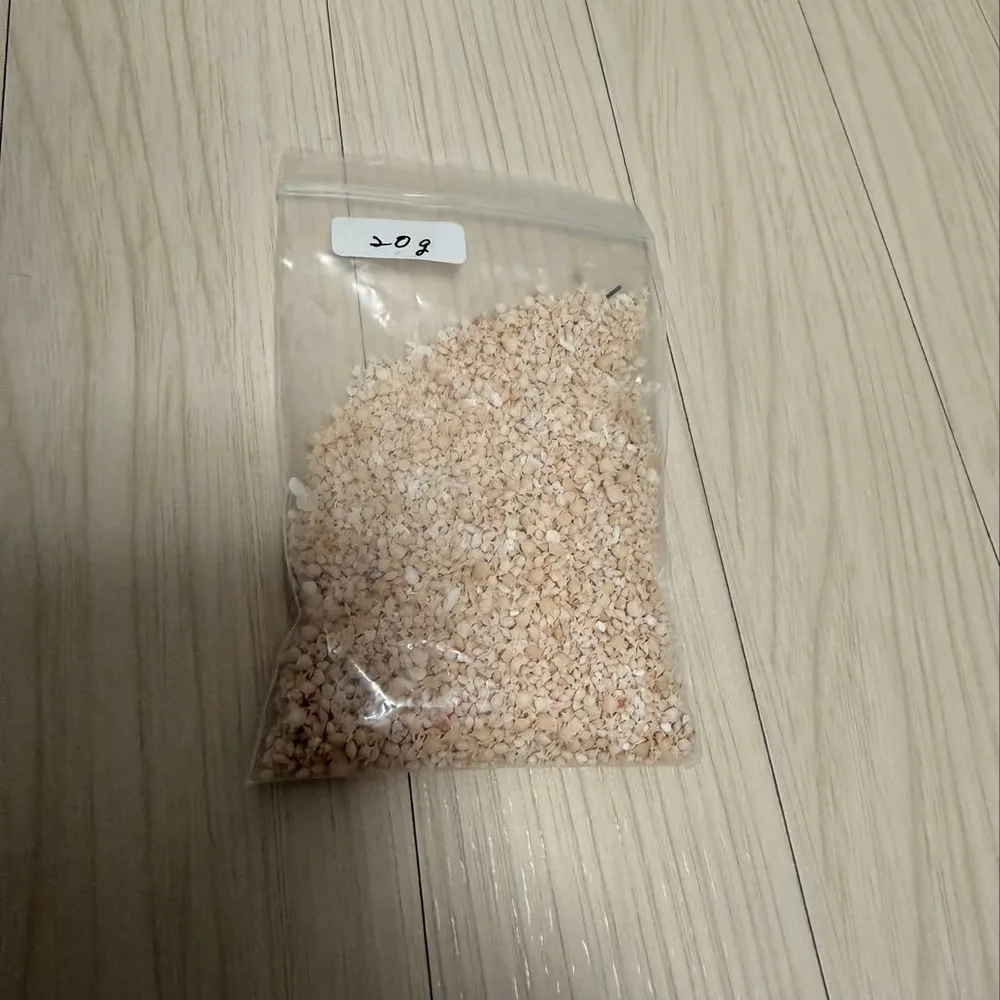 沖縄県産 星の砂 レジン封入 ハンドメイド素材 ネイル パーツ 20g