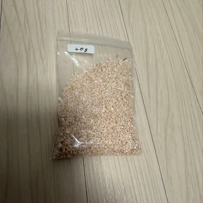 沖縄県産 星の砂 レジン封入 ハンドメイド素材 ネイル パーツ 20g