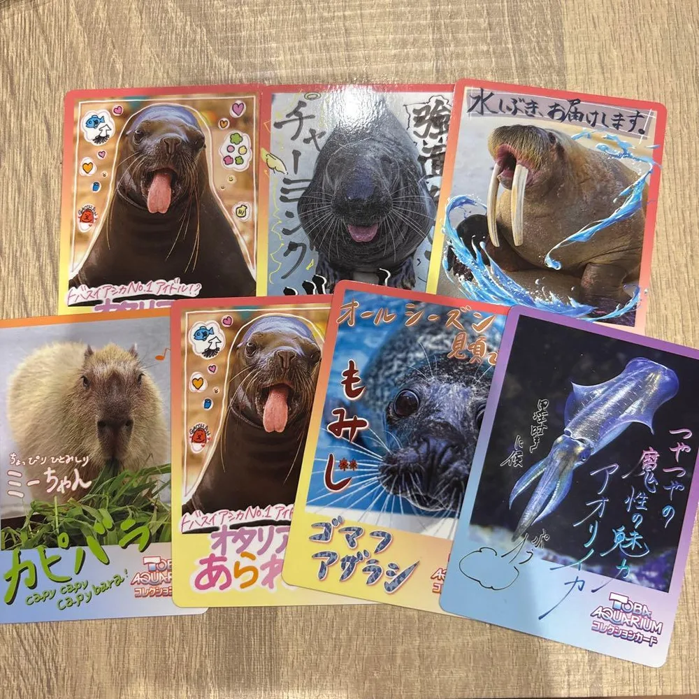 鳥羽水族館 コレクションカード 7枚セット