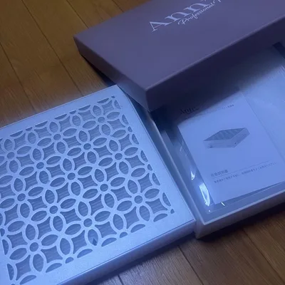 Ann Professional コードレスハイパーダスト集塵機 ネイル 美品