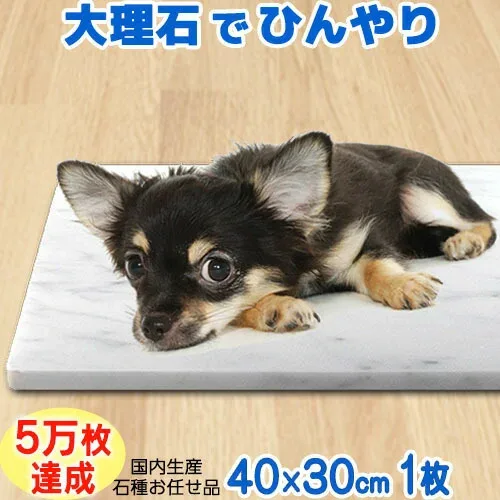 【国産】【楽天1位】大理石 ひんやり ペット用ボード 40×30cm石の色 おまかせ 厚み1.7〜3cm 汚れにくく 扱い易い 暑さ対策 熱中症対策 クール マット ベッド 犬 猫 夏 暑さ 冷感節電 ペット用品 ギフト 暑さ対策グッズ