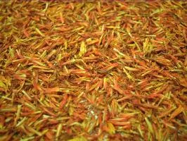 シングルハーブティー サフラワー(ベニバナ) 500g