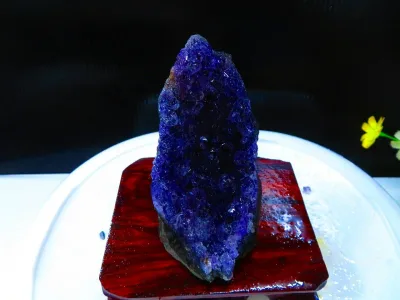 【中古】 タトゥーシール ウルグアイ産★ 天然水晶★絶品超濃い濃い超美しい★アメジストクラスター 超巨大516g D1635