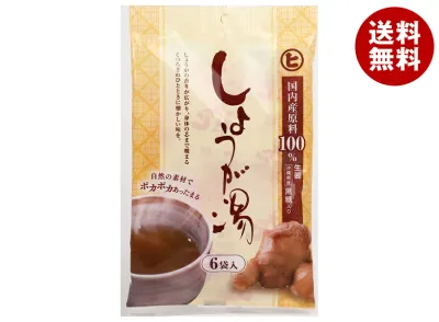 樋口製菓 しょうが湯 平袋 (20g×6袋)×20個入×(2ケース)| 送料無料 ドリンク 粉末 インスタント 生姜 しょうがゆ