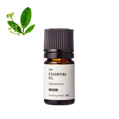 ラベンサラ・エッセンシャルオイル・野生種/5ml 100% ピュア 天然 植物 無添加 精油 アロマ 人気 香水 オイル 香りの木 ハーブ 手作り コスメ 化粧品 手づくり 石鹸 石けん 原料 材料 素材 おすすめ