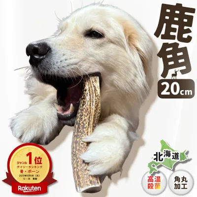 【 20cm 大型犬 】鹿の角 犬 おもちゃ 犬用 しかのつの 噛むおもちゃ 歯磨き 骨 鹿の骨 かむ 鹿のツノ 鹿のつの 犬のおもちゃ 北海道産 エゾ鹿 蝦夷鹿 しつけ いたずら防止 無添加 おやつ エゾジカ 鹿骨 国産 鹿 角 骨ガム ガム ボーン デンタルケア monolife モノライフ