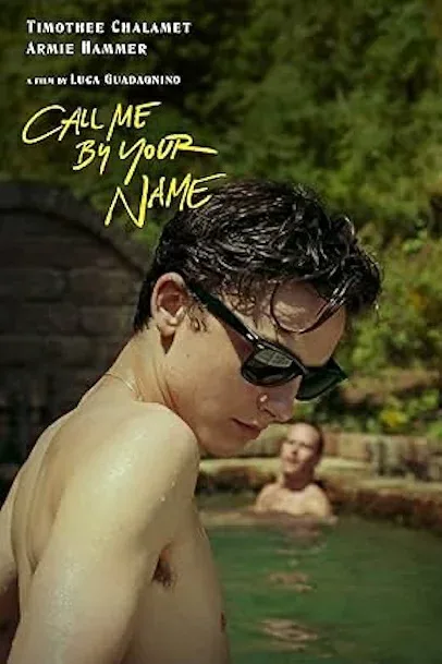 輸入 小型ポスター写真 米国版 君の名前で僕を呼んで ティモシーシャラメ アーミーハマー Call Me By Your Name 約43.5x28cm