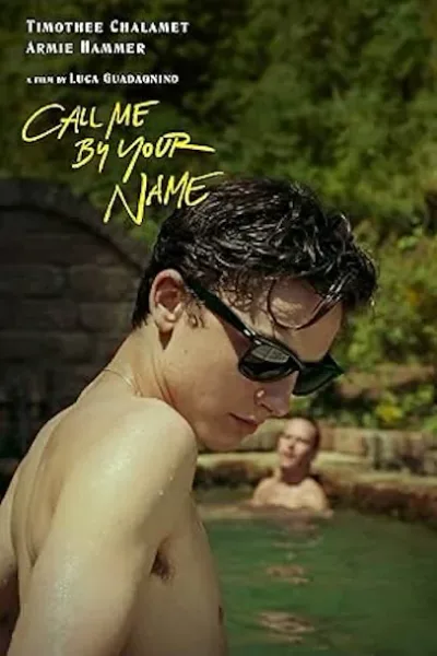 輸入 小型ポスター写真 米国版 君の名前で僕を呼んで ティモシーシャラメ アーミーハマー Call Me By Your Name 約43.5x28cm