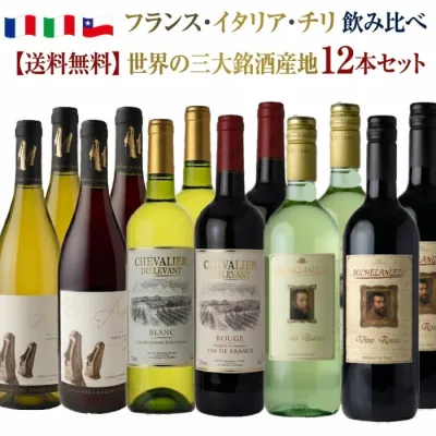 デイリーで楽しむ ワイン 三大銘酒産地 フランス イタリア チリ 店主厳選 ワインセット 飲み比べ 12本 送料無料 750ml