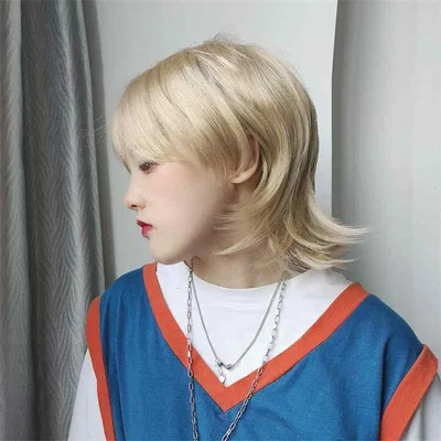 ウィッグ 男女兼用 フルウィッグ ショート ストレート センター分け 前髪 ウルフカット 耐熱 コスプレ ネット付き かつら イメチェン 自然