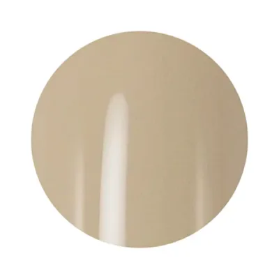 Dna Gel(ディーナジェル) カラージェル MBW13 デリュージュ 2.5g