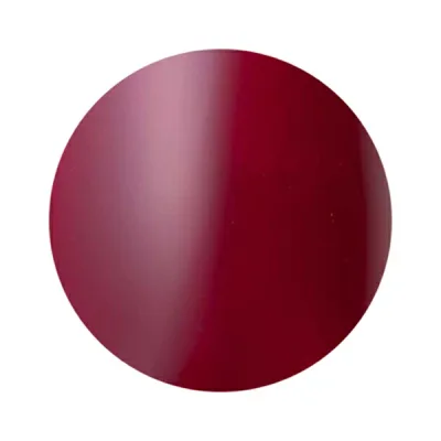 Dna Gel(ディーナジェル) カラージェル MR03 ガーネット 2.5g