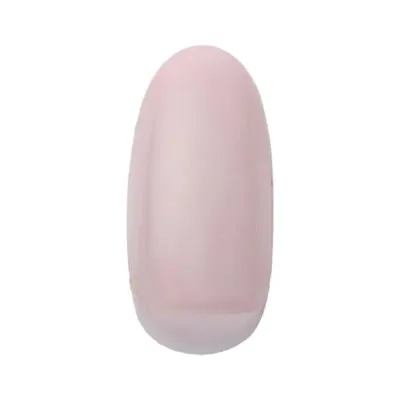 Dna Gel(ディーナジェル) カラージェル N19 デュバリー 2.5g