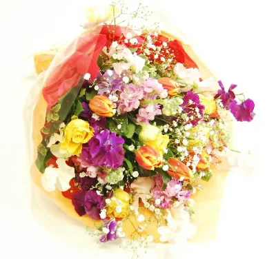 おまかせ花束 ボリューム 花束プレゼント 花束 卒業式 卒業祝い 花 誕生日 卒部式 離任式 誕生日プレゼント 母の日 女性 母 祖母 ギフト 生花 プレゼント 退職祝い 合格祝い お祝い 還暦祝い 男性 父 送別会 結婚記念日 お見舞い 結婚祝い 発表会 楽ギフ_包装 送料無料