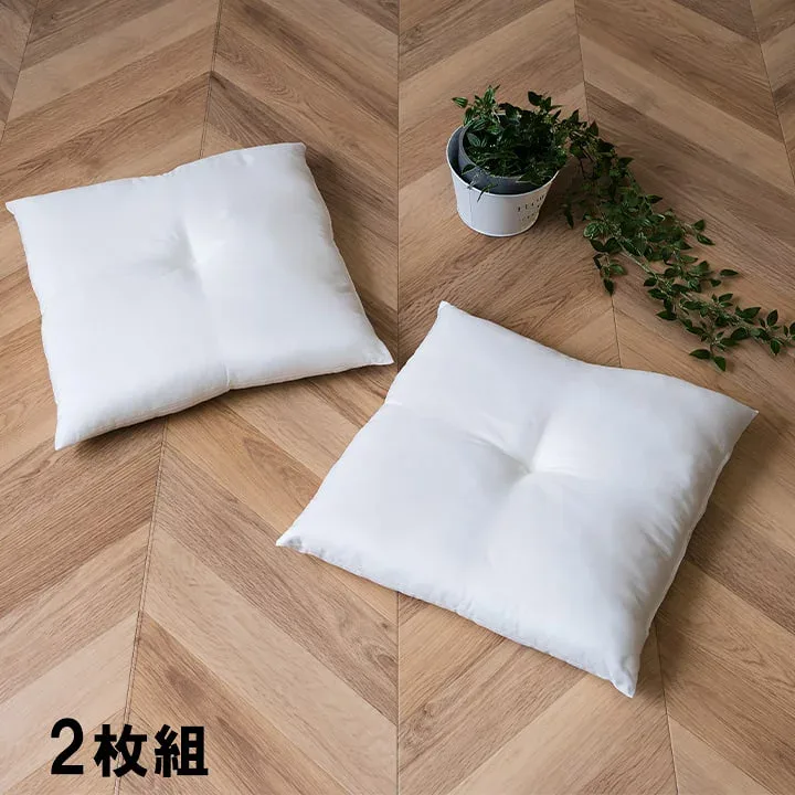 ヌードクッション 国産 日本製 洗える シート 椅子用 約45×45cm 2枚組