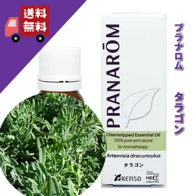 【限定販売】【タラゴン 10ml】→甘さと清涼感を持ち、アニスに似た香り♪(リフレッシュハーブ系)100%ピュアの天然無農薬有機栽培オイル【PRANAROM(プラナロム)/NARD(ナードジャパン)】(精油/アロマオイル/エッセンシャルオイル)P-15